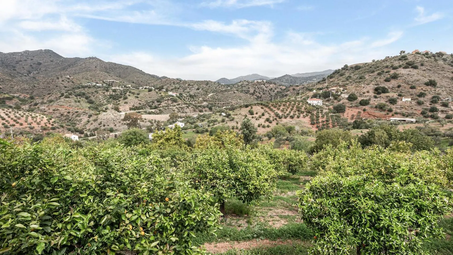 Finca Llano De Fe Malaga Holiday home